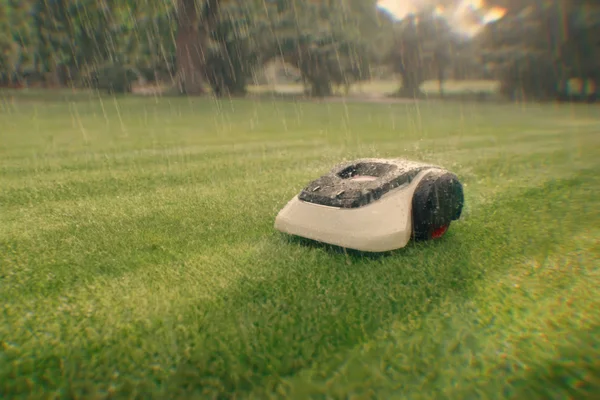 Robotic mower continues mowing in rainfall, showing weather-resistant design.